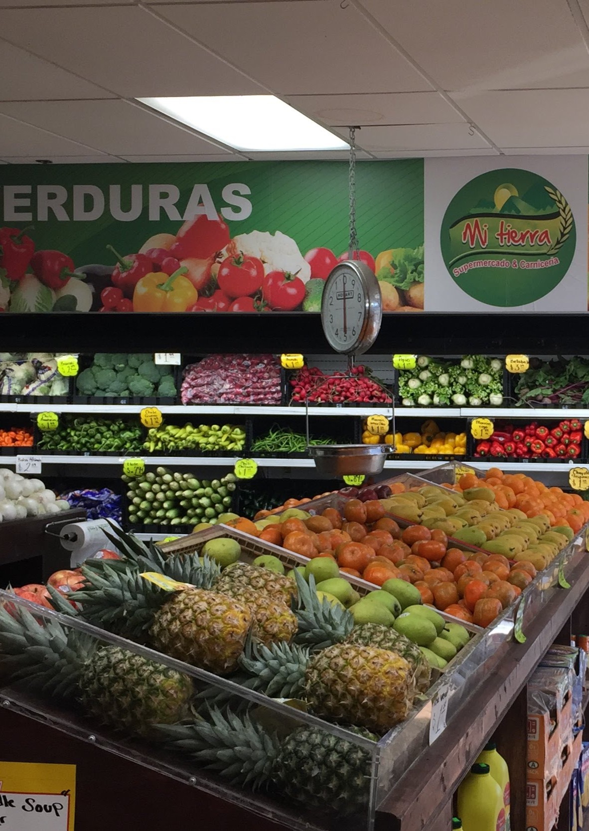 Mi Tierra 1